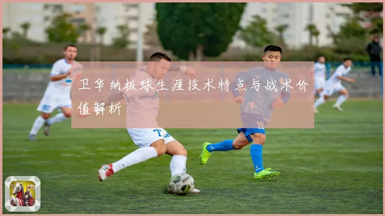 卫华纳板球生涯技术特点与战术价值解析
