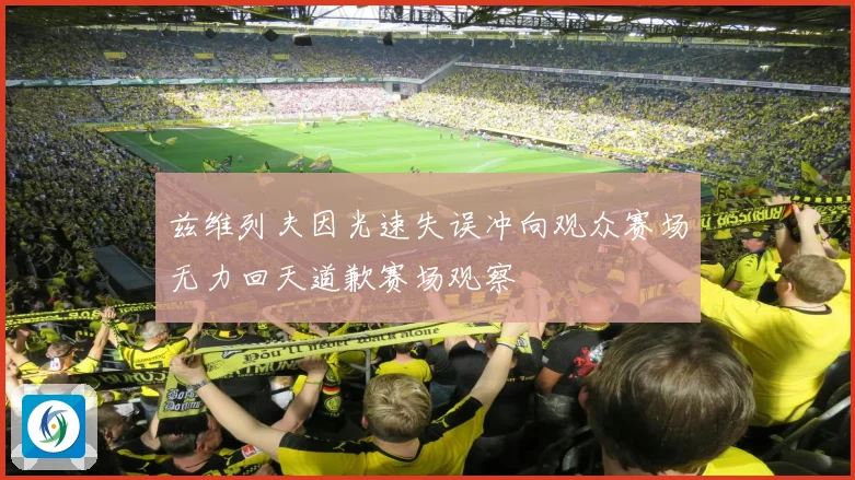 兹维列夫因光速失误冲向观众赛场无力回天道歉赛场观察
