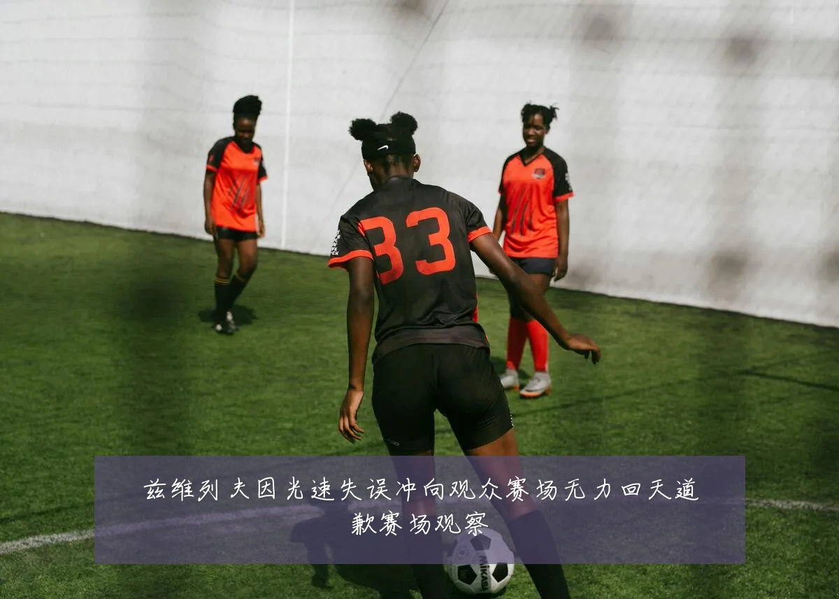兹维列夫因光速失误冲向观众赛场无力回天道歉赛场观察